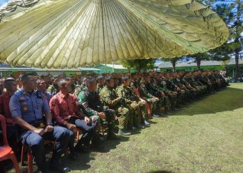 Amankan Kunjungan Jokowi ke Wamena, Satgas Pamtas RI-PNG Yonif Raider 514 Dapat Ini dari Panglima TNI