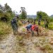 Kemanunggalan TNI, 20 Personel Satgas Pamtas Yonif Raider Bantu Perbaikan Jalan di Distrik Walesi, Papua.