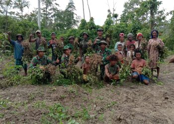 Tak Hanya Jaga Keamanan Perbatasan, Personel TNI Juga Ajarkan Pemanfaatan Lahan Kosong