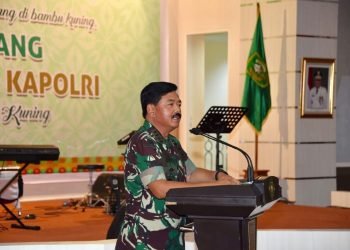 Panglima TNI Beberkan Faktor Karhutla di Riau