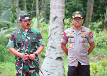Observasi Kedua Wabah Corona, Panglima TNI Klaim Sudah Siap