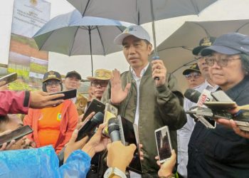 Jokowi Ingatkan Bencana Karhutla: Tiap Kemarau Pasti ada Kebakaran