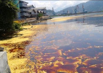 Pembuangan Limbah Minyak di Laut Sulit Diungkap, Kata Bakamla