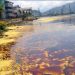 Pembuangan Limbah Minyak di Laut Sulit Diungkap, Kata Bakamla