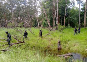 ‘Jalan Tikus’ Perbatasan RI-PNG, Pilihan Penyelundupan Barang Ilegal