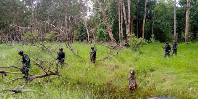 ‘Jalan Tikus’ Perbatasan RI-PNG, Pilihan Penyelundupan Barang Ilegal