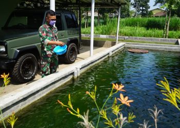 TNI Kembangkan Budidaya Perikanan di Tengah Penyebaran Covid-19