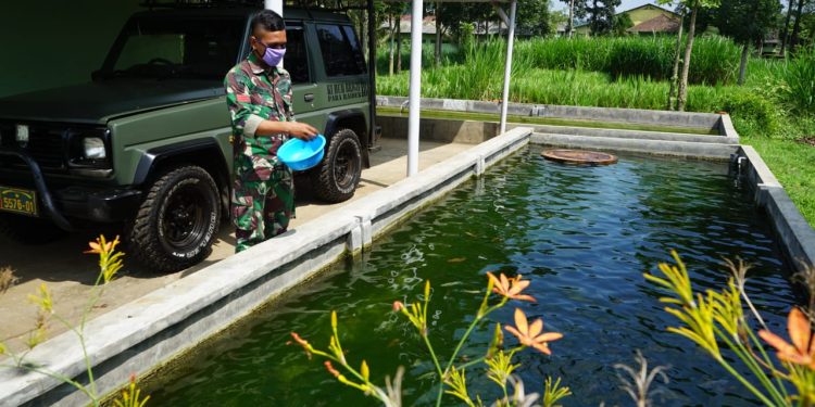 TNI Kembangkan Budidaya Perikanan di Tengah Penyebaran Covid-19