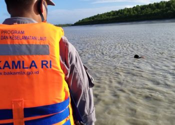 Bakamla Bersama Tim SAR  Evakuasi Korban Jatuh dari Kapal