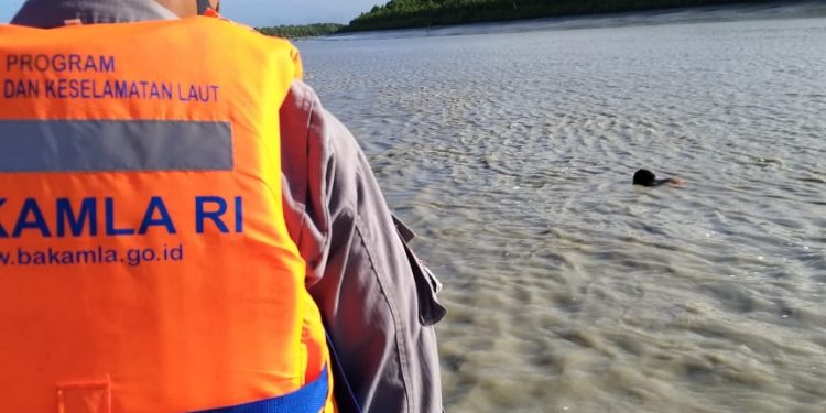 Bakamla Bersama Tim SAR Evakuasi Korban Jatuh dari Kapal