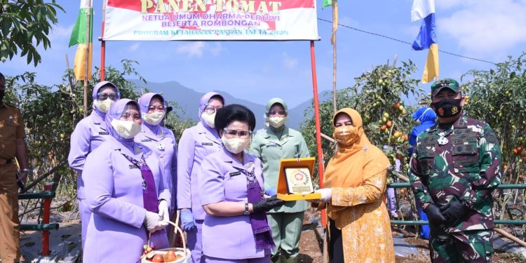 Dukung Ketahanan Pangan, Istri Panglima TNI Tanam Perdana di Cianjur