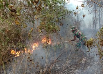 TNI-Polri Berhasil Padamkan Kebakaran Lahan di Merauke