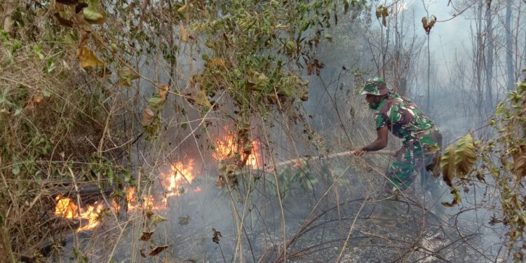TNI-Polri Berhasil Padamkan Kebakaran Lahan di Merauke