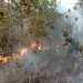 TNI-Polri Berhasil Padamkan Kebakaran Lahan di Merauke