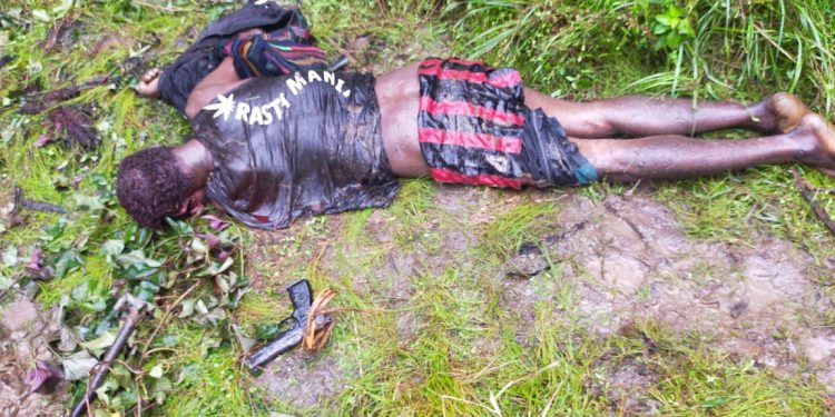 TNI Sergap Gerombolan KKSB Papua di Nduga, Satu Anak Buah Egianus Kogoya Tewas