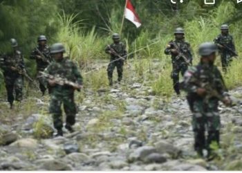 KKSB Papua Kembali Brutal, TNI: Tak Ada Korban Jiwa