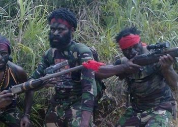 KKB Kembali Berulah, Dua Warga Papua di Ilaga Ditembak