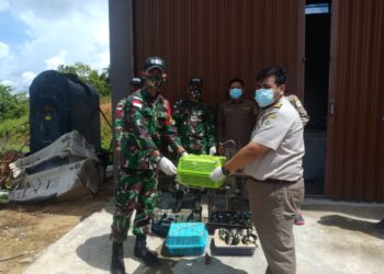 Satgas Pamtas RI-Malaysia Gagalkan Penyelundupan Satwa Ilegal
