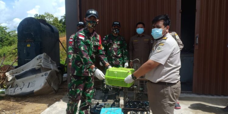 Satgas Pamtas RI-Malaysia Gagalkan Penyelundupan Satwa Ilegal