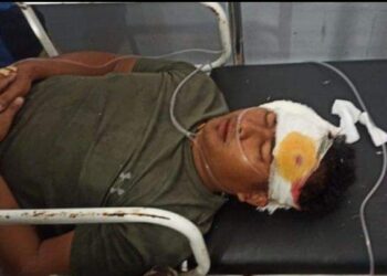 Satu Prajurit TNI Ditembak KKB Papua