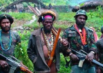 KKB Papua Kembali Berulah, Tembak Warga Sipil di Intan Jaya