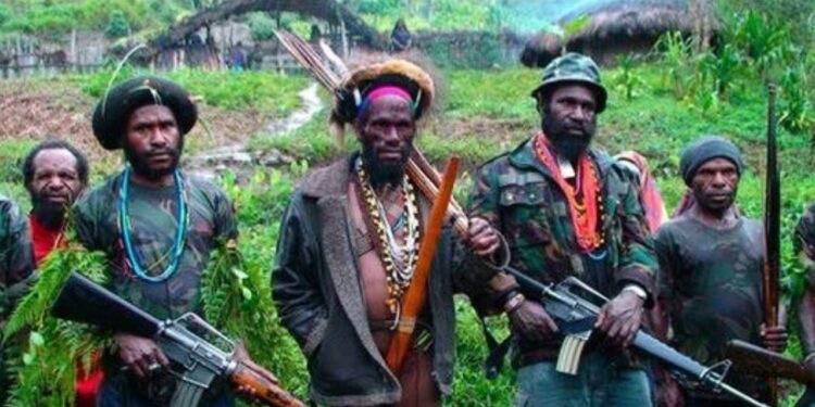 KKB Papua Kembali Berulah, Tembak Warga Sipil di Intan Jaya