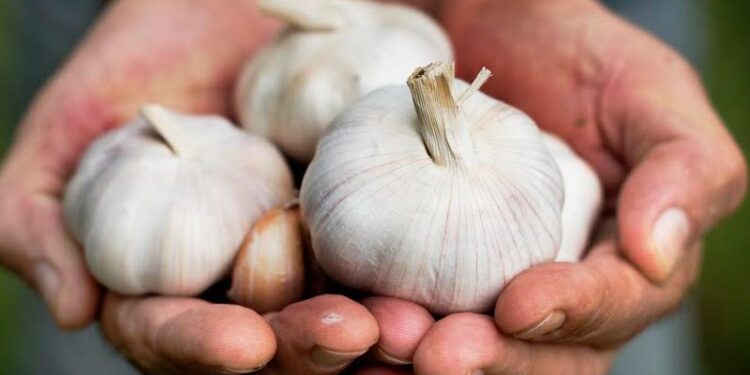 DPR Minta Impor Bawang Putih dari Cina Dikurangi