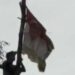 Kesal Bendera Bergambar Habib Rizieq Diturunkan, Nicho Silalahi: Ganti Foto Profilmu dengan Gambar HRS
