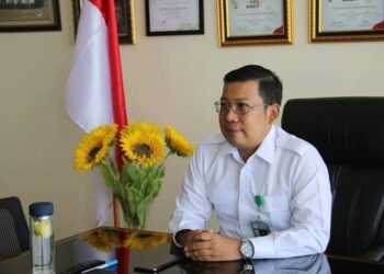 Jokowi Bakal Lantik Bos Rajawali Nusantara Indonesia, Ini Jabatannya