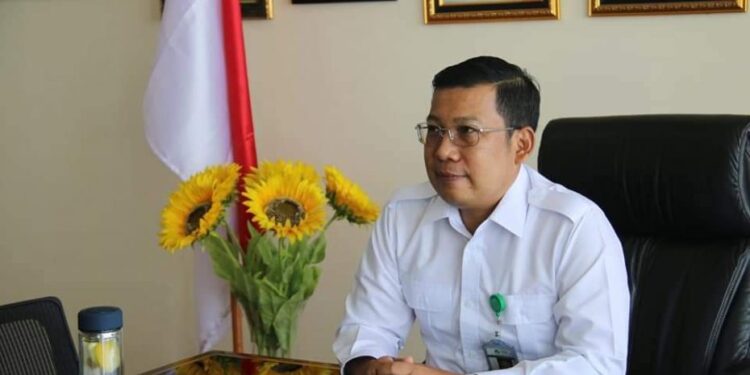 Jokowi Bakal Lantik Bos Rajawali Nusantara Indonesia, Ini Jabatannya