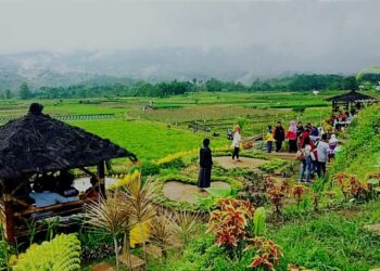 Pengamat: Kembangkan Potensi Wisata Desa, Peran BUMDes Diperlukan