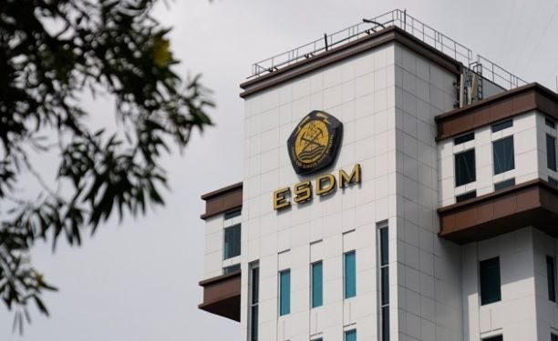 Sri Utami, Mantan Pejabat Tinggi Kementerian ESDM Divonis 4 Tahun Penjara