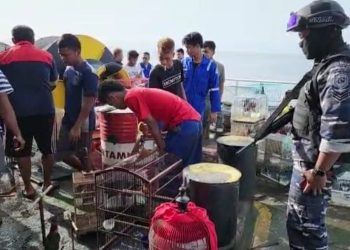 Lanal Banjarmasin Gagalkan Penyelundupan Satwa Dilindungi