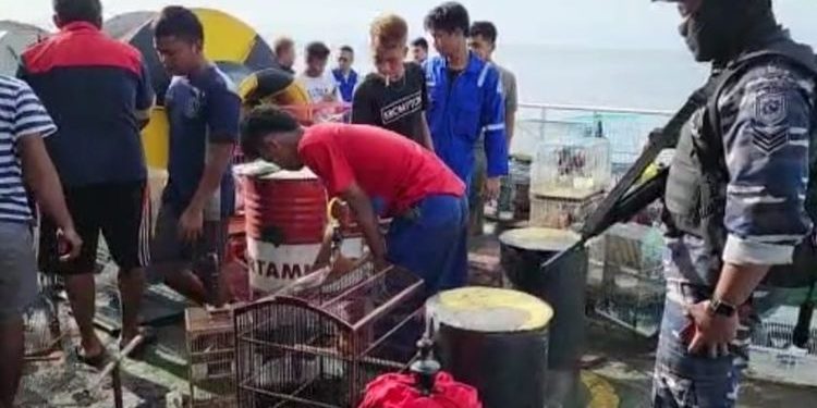 Lanal Banjarmasin Gagalkan Penyelundupan Satwa Dilindungi