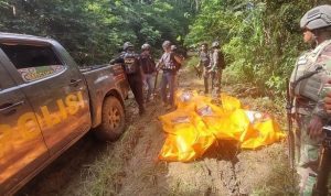 TNI-Polri evakuasi korban KKB Papua