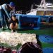 TNI AL Gagalkan Penyelundupan 43 Paket Narkotika di Laut Banda Aceh
