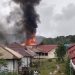 KKB Papua Pimpinan Nelson Mimin Bakar Sekolah dan Tembaki Pesawat Sipil