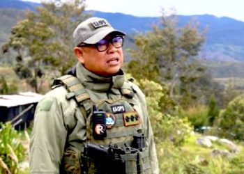 Empat Bulan Operasi, Satgas Damai Cartenz 2023 Berhasil Tangkap 31 Teroris KKB Papua