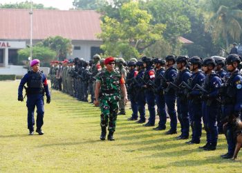 Komando Operasi Khusus (Koopssus) TNI