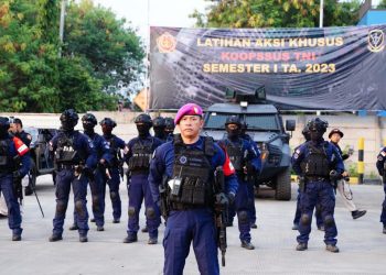 Panglima TNI: Tak Ada Prajurit Profesional yang Dibentuk Tanpa Latihan