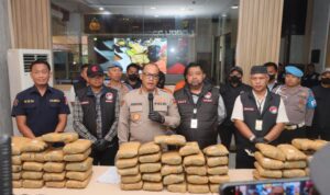 Narkoba jenis Ganja