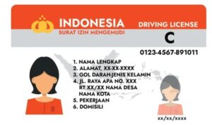 Surat Izin Mengemudi (SIM)