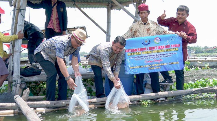 program deradikalisasi