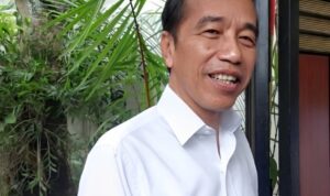 Joko Widodo (Jokowi)