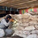 Bakamla RI Gagalkan Penyelundupan Bawang Merah Ilegal di Perairan Kepulauan Riau