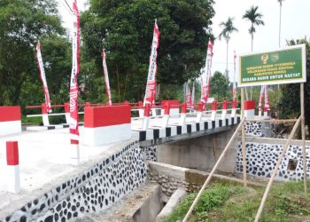 Jembatan garuda merah putih di Papua
