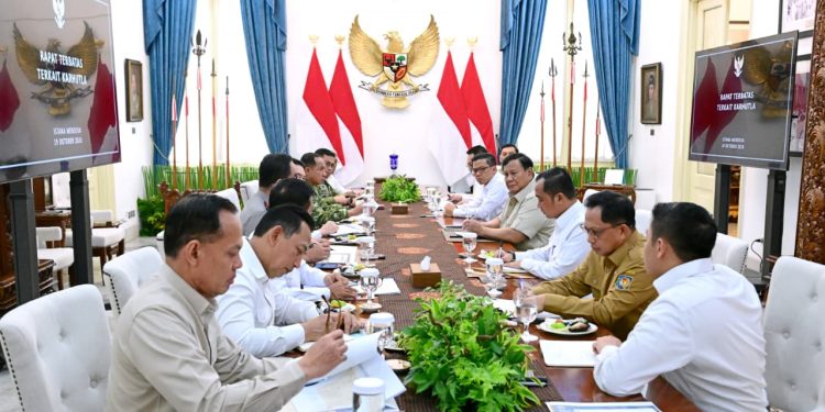 Presiden Prabowo gelar rapat terbatas penaggulangan Karhutla